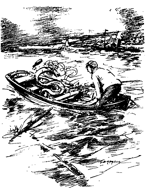 Conger eel thrashing about in boat.