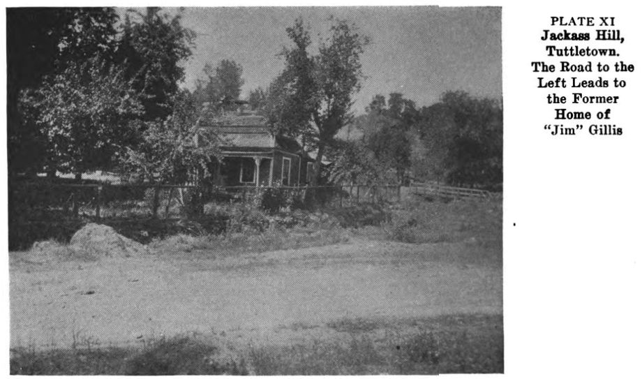 Jackass Hill.  Plate11