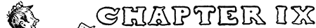 CHAPTER IX CHAPTER IX
