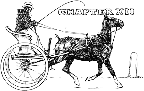 CHAPTER XII CHAPTER XII