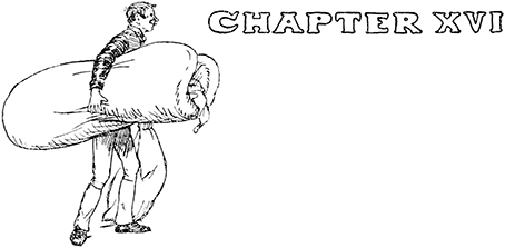 CHAPTER XVI CHAPTER XVI