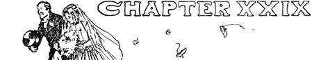 CHAPTER XXIX CHAPTER XXIX