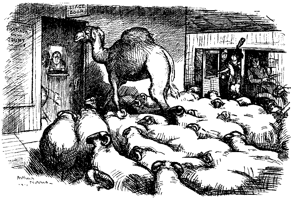 Various animals at the stage door.