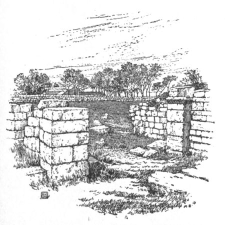 DOORWAY FROM BIRD-OSWALD