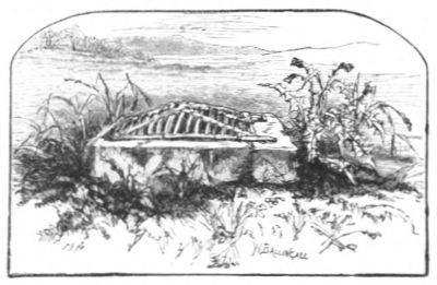 THE BORE-STONE, BANNOCKBURN, IN WHICH BRUCE PLANTED HIS STANDARD