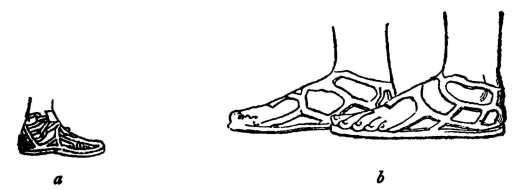 Fig. 49. Sandals. Illustration: Sandals
