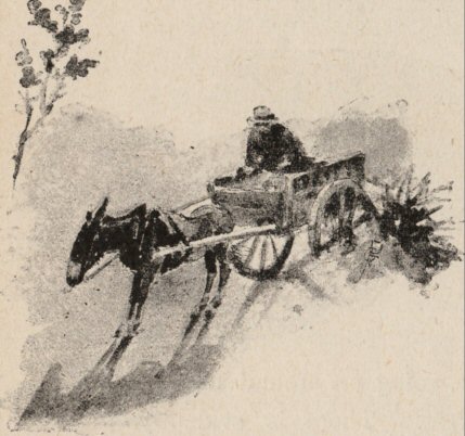 Colaquet about to drink Colaquet about to drink