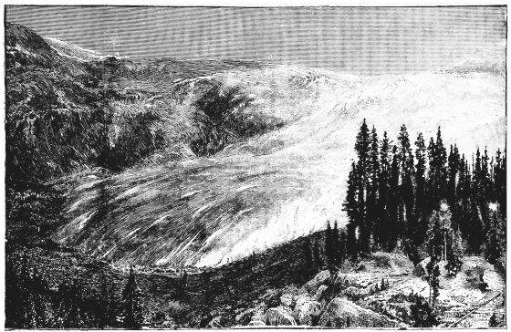 GREAT GLACIER, CANADIAN ROCKIES