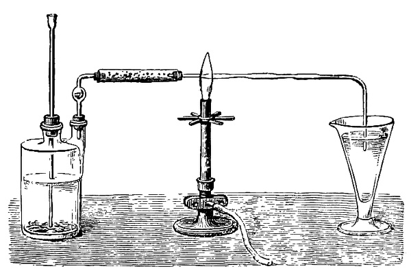 see caption see caption