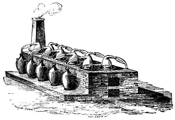 see caption see caption