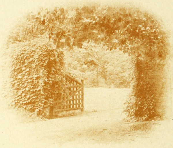 iron garden gate iron garden gate