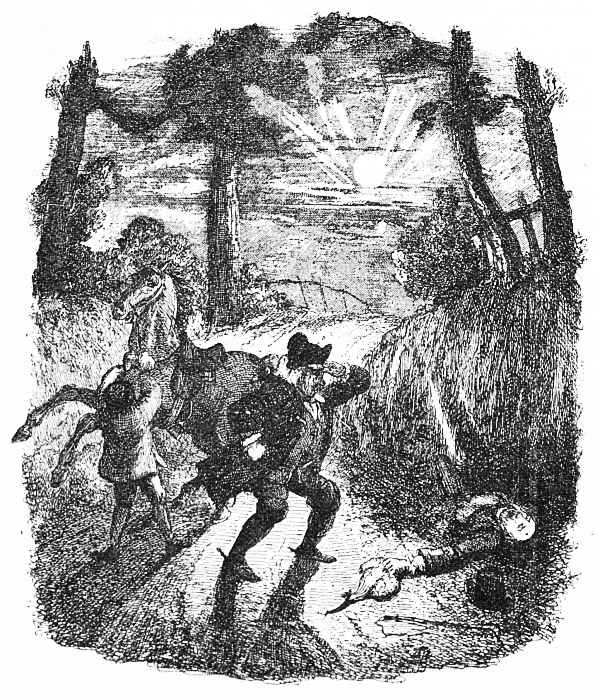 JERRY JARVIS'S WIG. tb