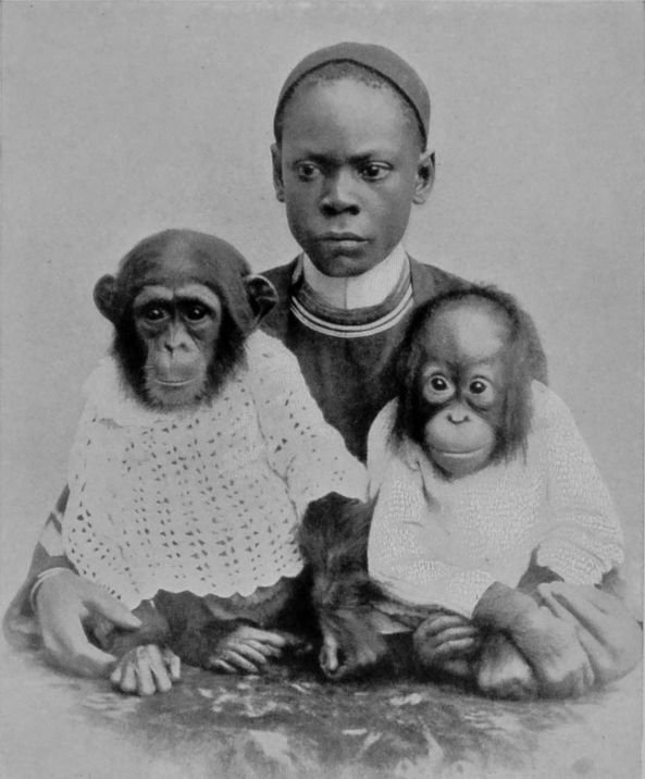 NEGRO BOY AND APES. NEGRO BOY AND APES.