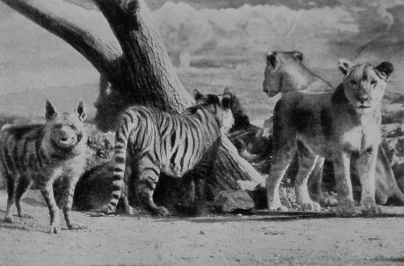 A HAPPY FAMILY. A HAPPY FAMILY.