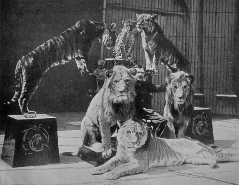 A HAPPY FAMILY. A HAPPY FAMILY.