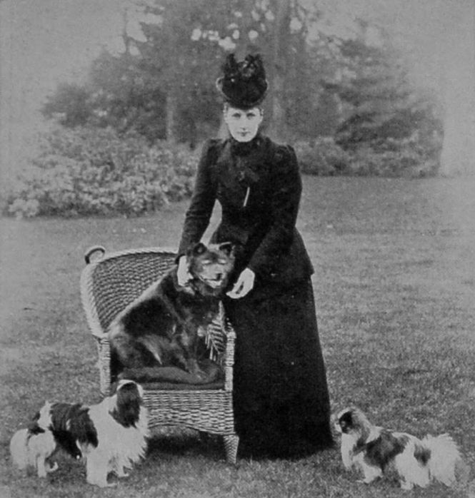 HER MAJESTY QUEEN ALEXANDRA, WITH CHOW     AND JAPANESE SPANIELS. HER MAJESTY QUEEN ALEXANDRA, WITH CHOW     AND JAPANESE SPANIELS.