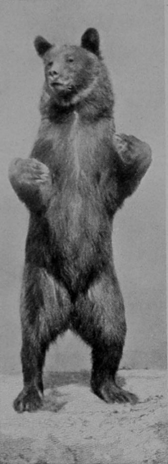 AN INVITING ATTITUDE. AN INVITING ATTITUDE.