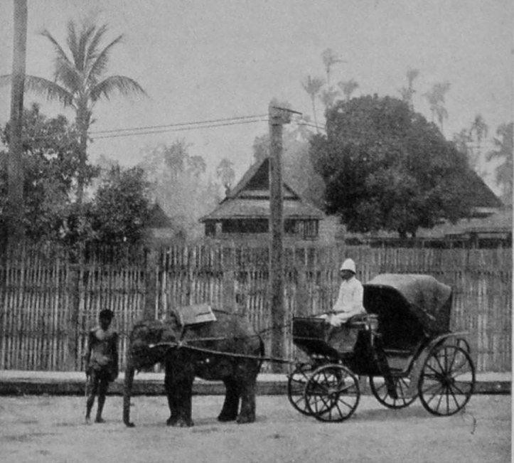 THE CHIEF OF CHIENGMAI'S CARRIAGE. THE CHIEF OF CHIENGMAI'S CARRIAGE.