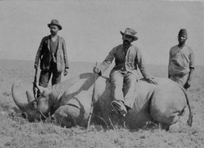 ONE OF THE SAME RHINOCEROSES DEAD. ONE OF THE SAME RHINOCEROSES DEAD.
