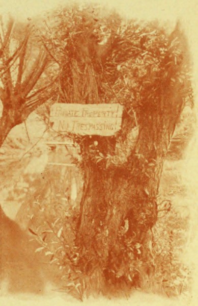 NO TRESSPASSING NO TRESSPASSING