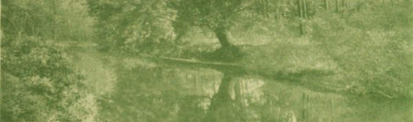 river back of the Inn river back of the Inn