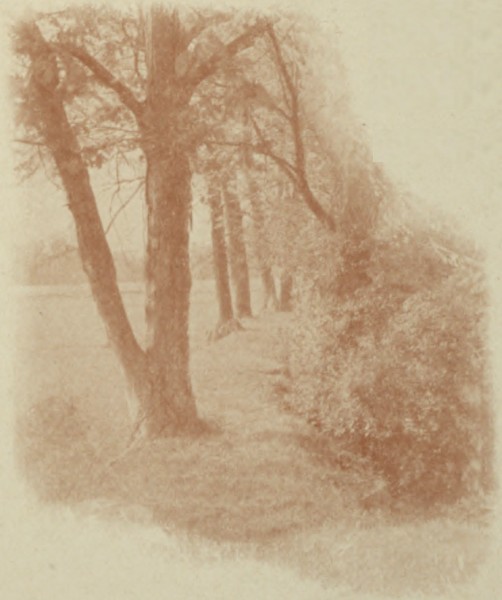 riverside meadow riverside meadow