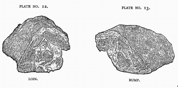 LOIN   RUMP LOIN   RUMP