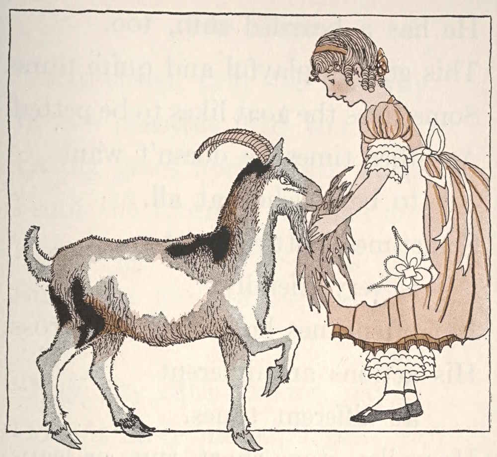 Girl feeding goat