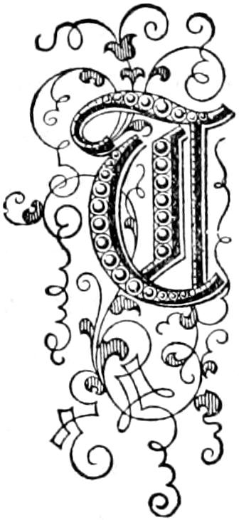 T Illustrated capital T
