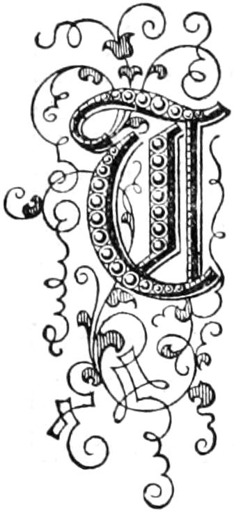 T Illustrated capital T