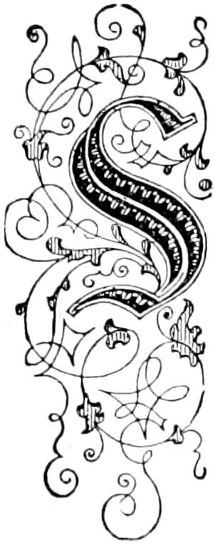 S Illustrated capital S