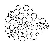 A pressure is not propagated through a fluid in rectilinear directions unless where the particles of the fluid lie in a right line.