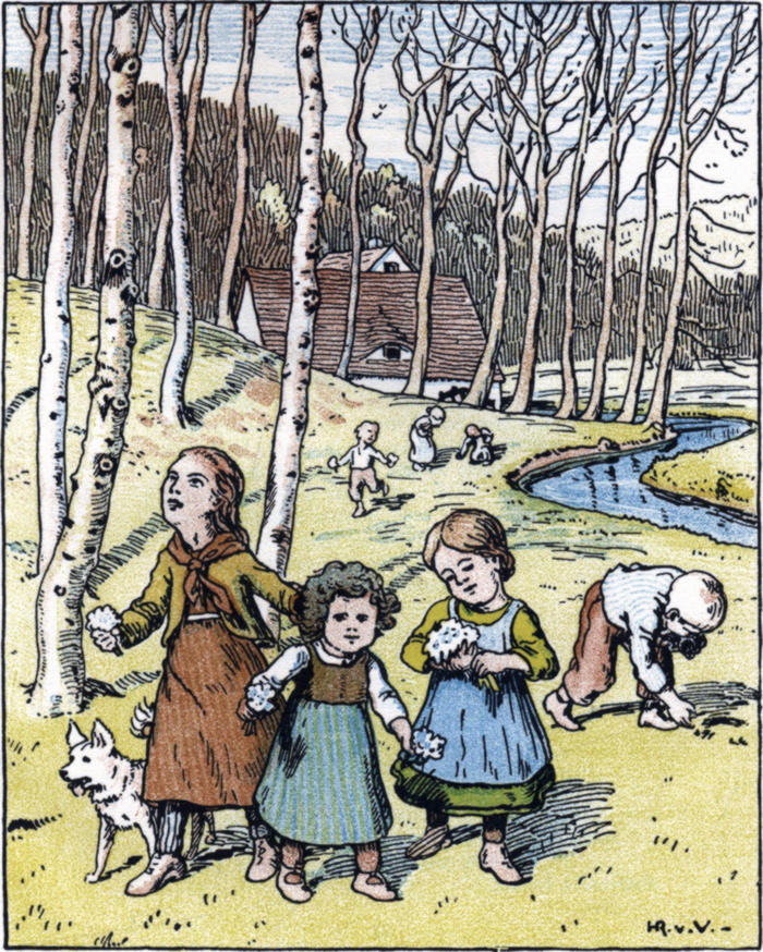 Kinder pflücken Blumen in   einem lichten Birkenwald