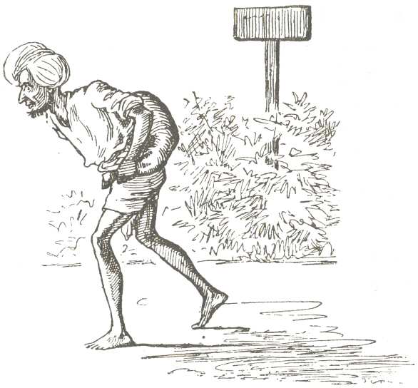 The Bheestee The Bheestee