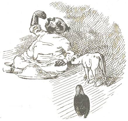 Curry and rice Curry and rice