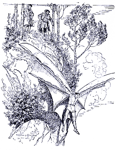 “With a wild scream Farini endeavoured to support
himself with his gauze-like wings.”